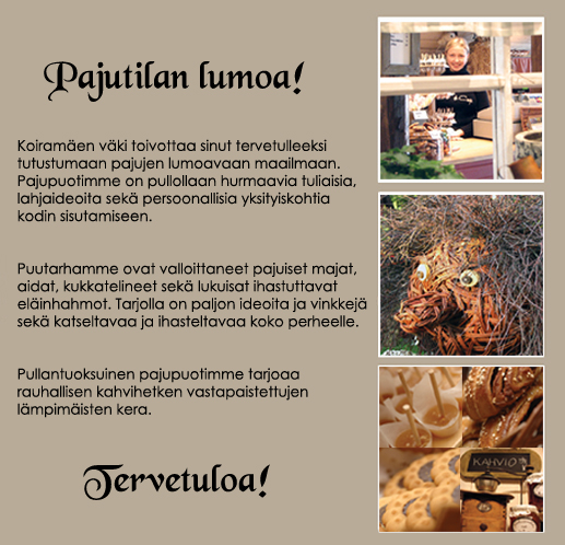 Pajutilan lumoa!